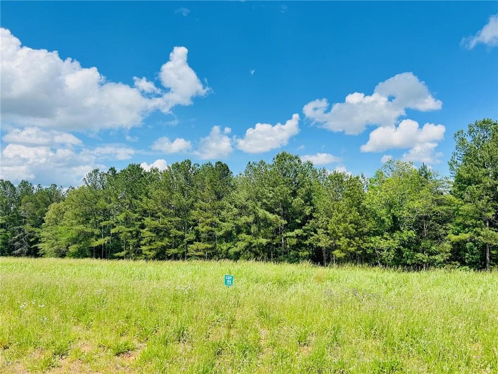 307 Weatherfield Pte, Cartersville, GA 30120 — most recent listing photo