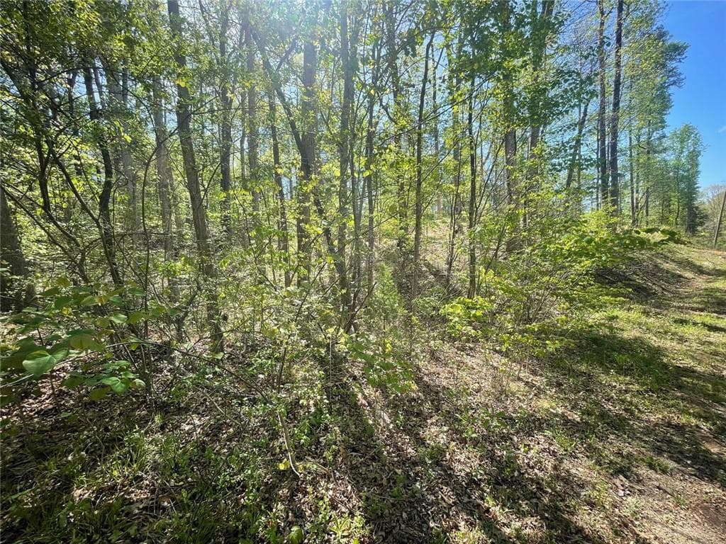 174 Navajo Trail, Martin, GA 30557 — most recent listing photo