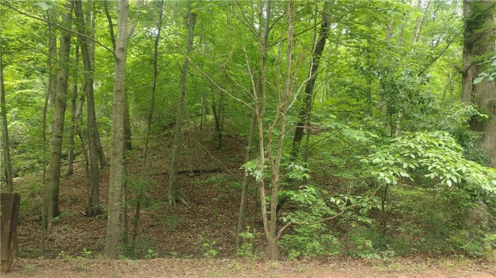 single family residence for sale at 0 Pebble Creek Lane, Alto, GA 30510 — photo 7