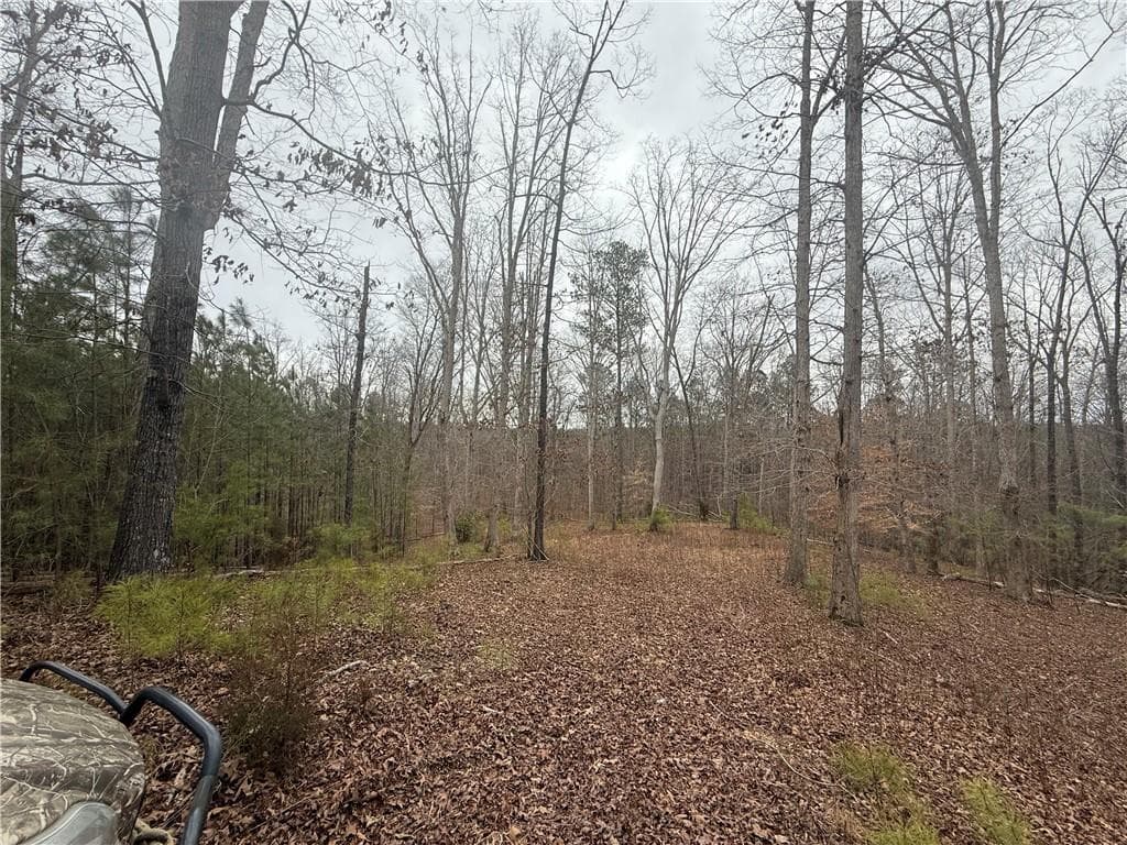 unimproved land for sale at 0 Salacoa Road, Fairmount, GA 30139 — photo 6