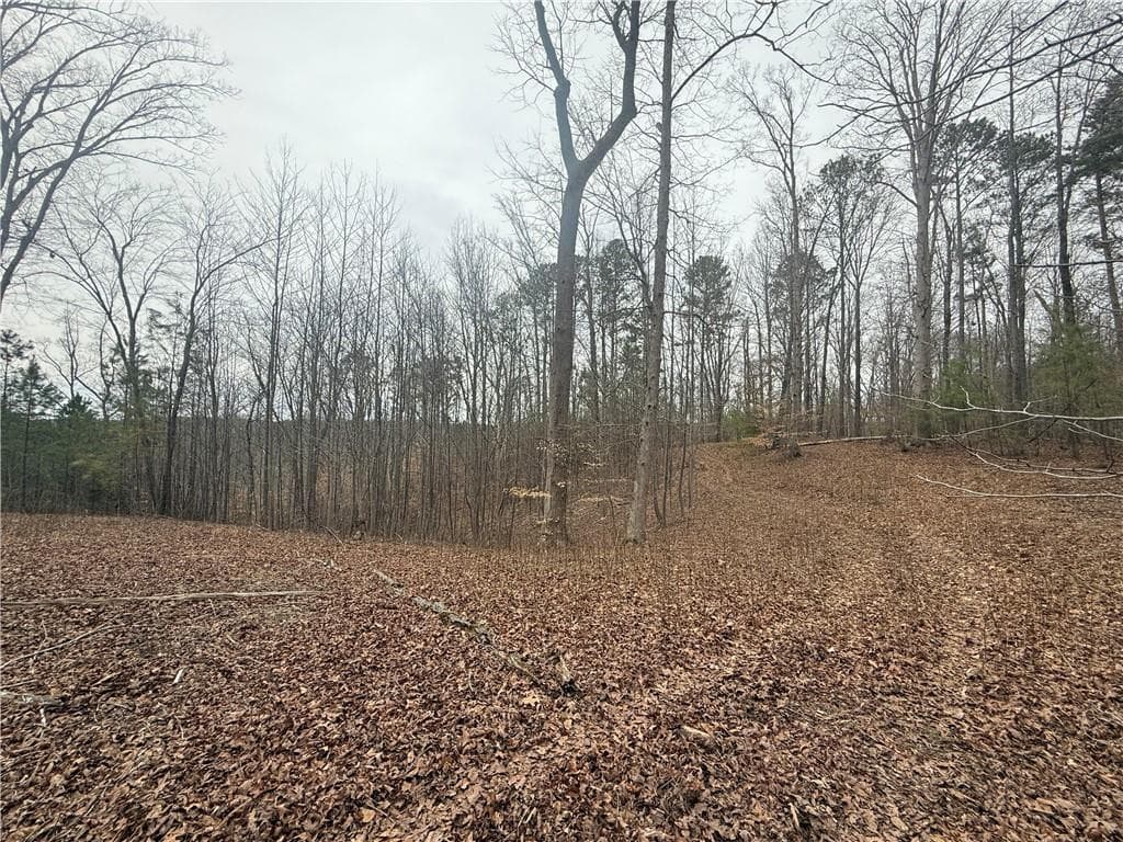 unimproved land for sale at 0 Salacoa Road, Fairmount, GA 30139 — photo 5