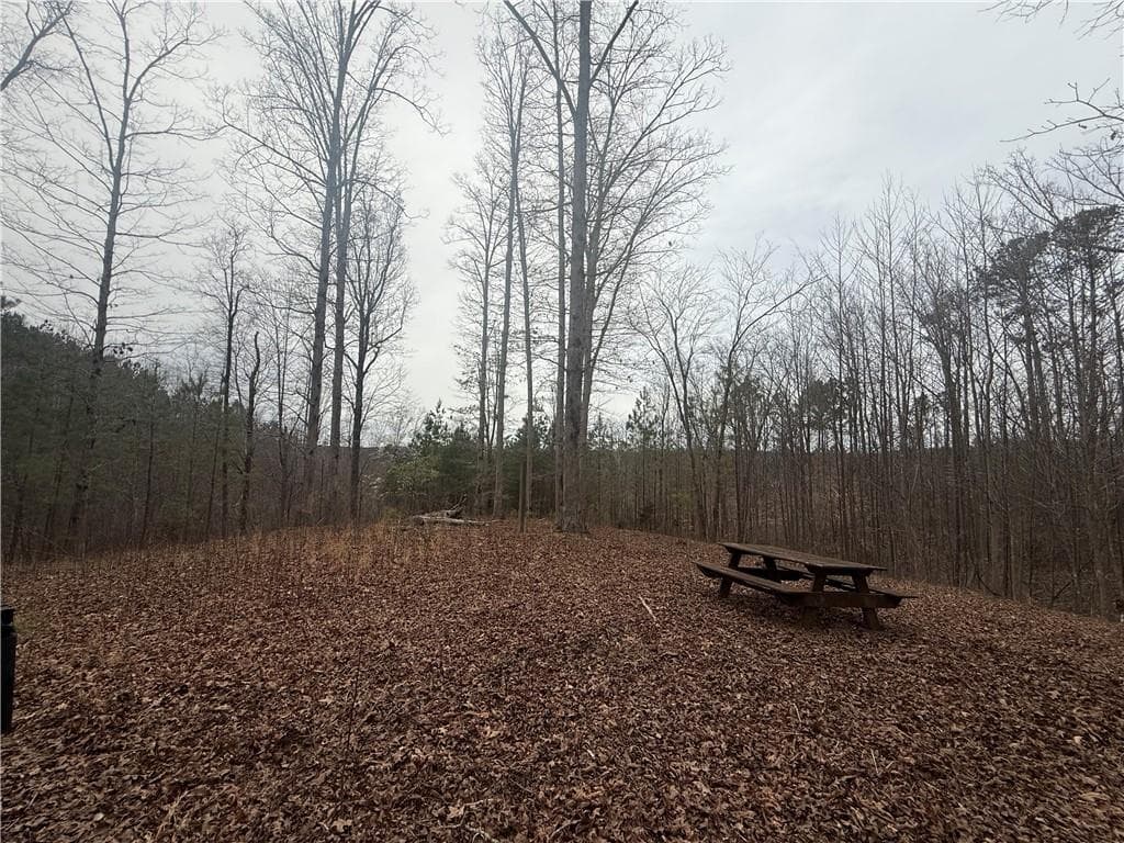 unimproved land for sale at 0 Salacoa Road, Fairmount, GA 30139 — photo 7
