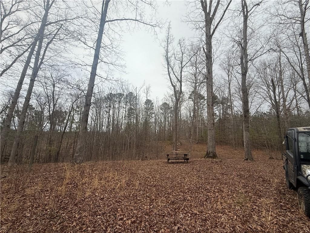 unimproved land for sale at 0 Salacoa Road, Fairmount, GA 30139 — photo 8