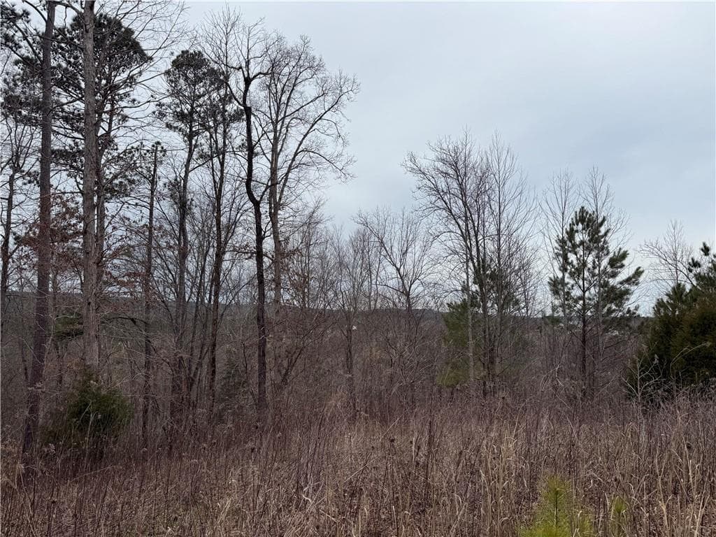 unimproved land for sale at 0 Salacoa Road, Fairmount, GA 30139 — photo 9