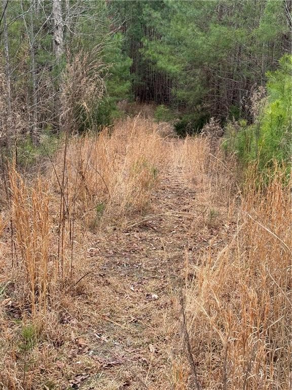 unimproved land for sale at 0 Salacoa Road, Fairmount, GA 30139 — photo 10
