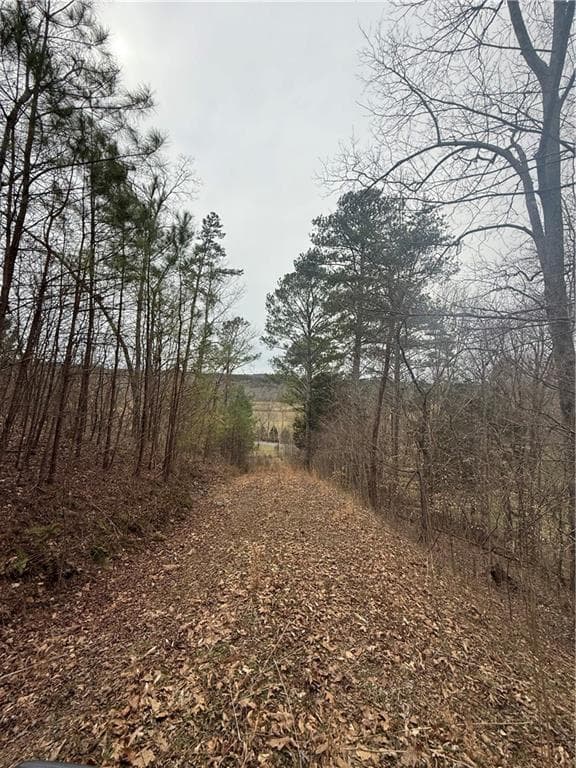 unimproved land for sale at 0 Salacoa Road, Fairmount, GA 30139 — photo 4