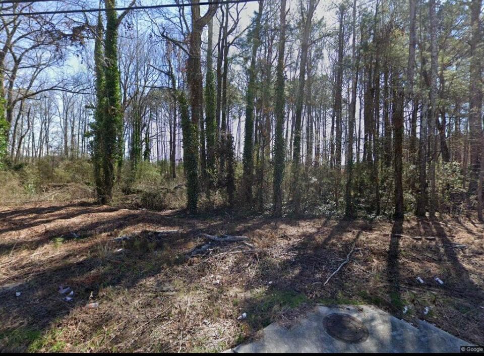 1670 Rose Garden Lane, Loganville, GA 30052 — most recent listing photo