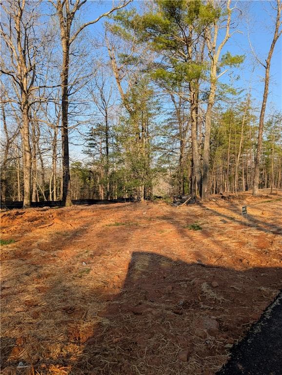 single family residence for sale at 0 Yahoola Road, Dahlonega, GA 30533 — photo 2