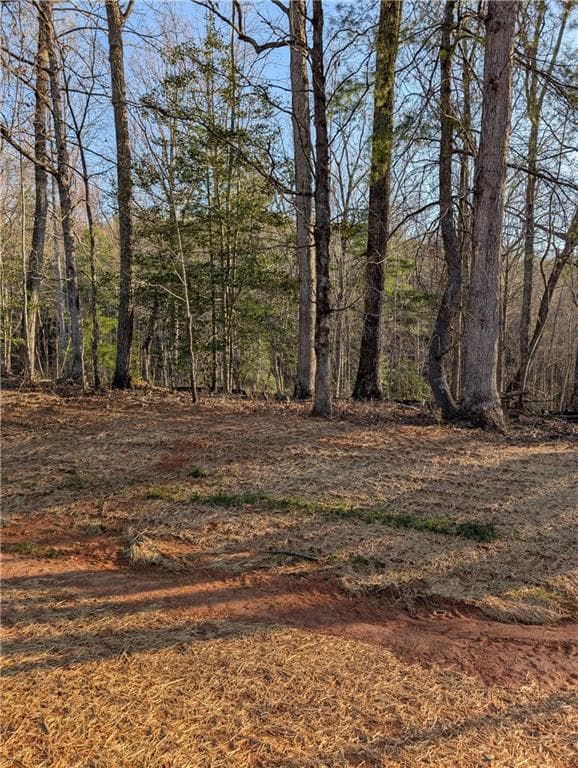single family residence for sale at 0 Yahoola Road, Dahlonega, GA 30533 — photo 4