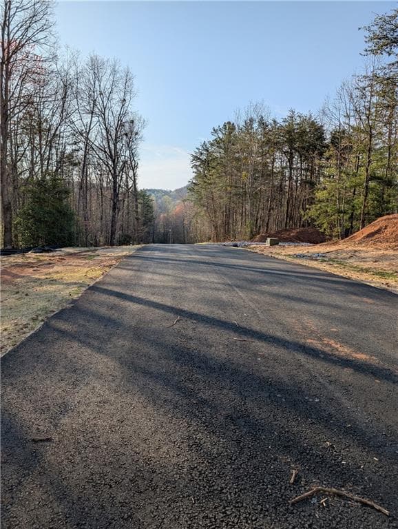 single family residence for sale at 0 Yahoola Road, Dahlonega, GA 30533 — photo 5