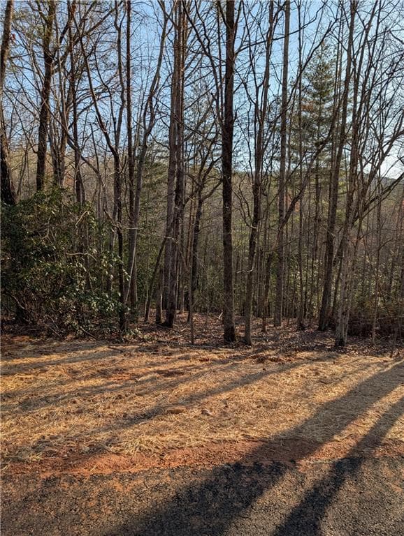 single family residence for sale at 0 Yahoola Road, Dahlonega, GA 30533 — photo 6