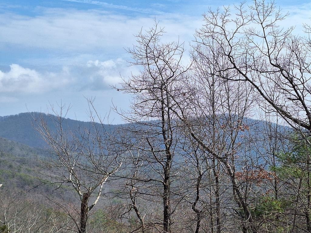 single family residence under contract at LOT2 Summit Pass, Chatsworth, GA 30705 — photo 2