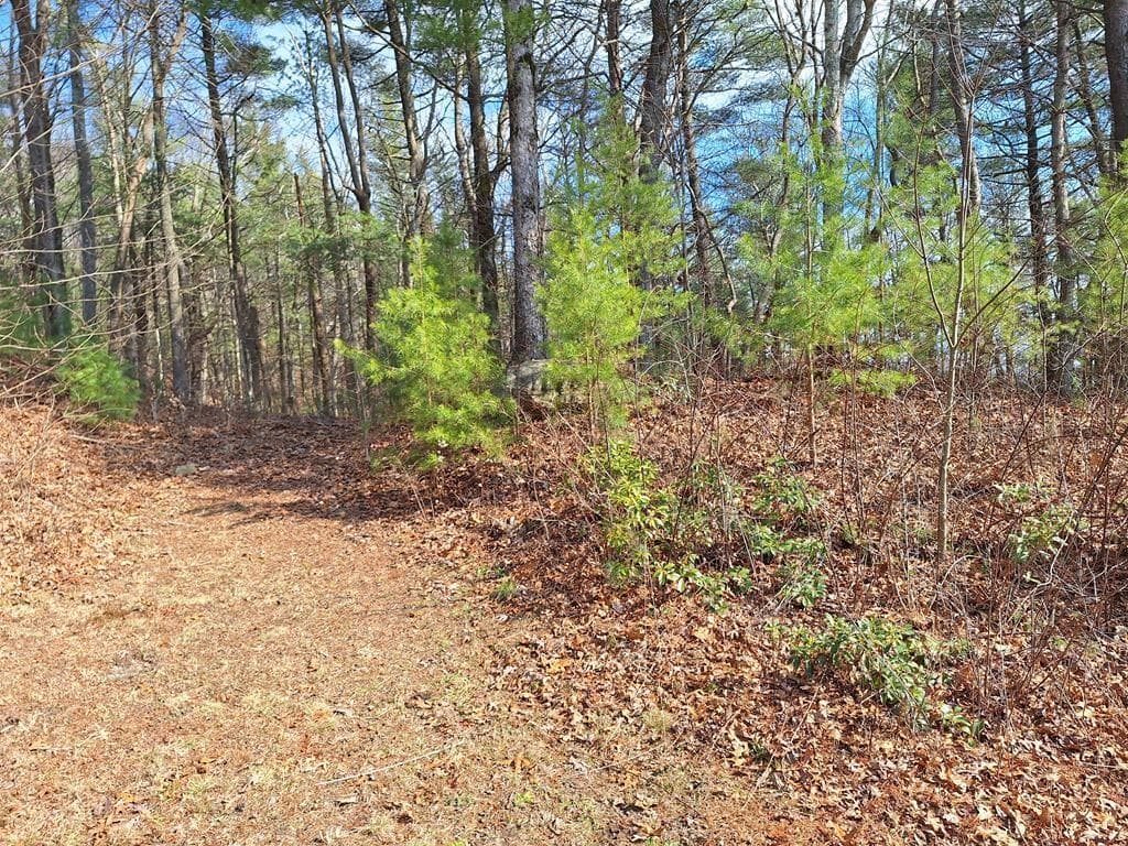 single family residence under contract at LOT2 Summit Pass, Chatsworth, GA 30705 — photo 9