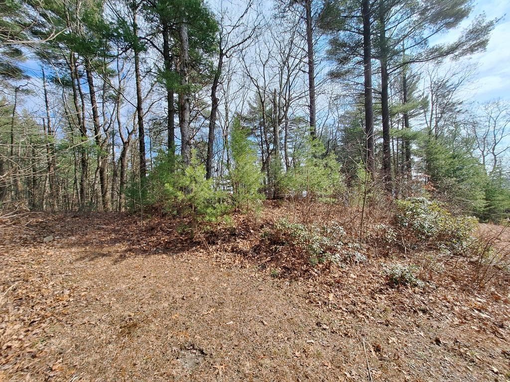 single family residence under contract at LOT2 Summit Pass, Chatsworth, GA 30705 — photo 10