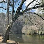other sold at 181 Poolside Court, Ellijay, GA 30540