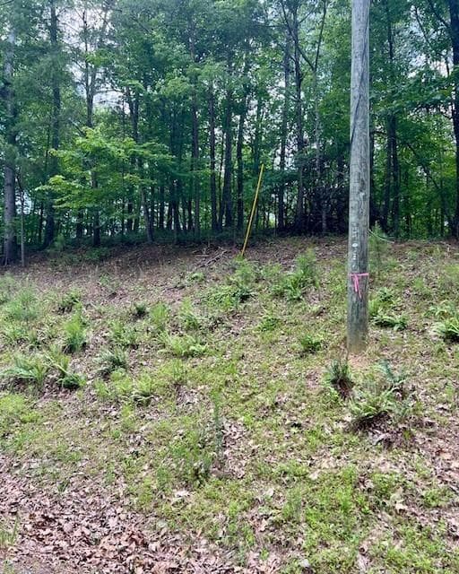 single family residence for sale at 133 Adair Drive, Ranger, GA 30734 — photo 3
