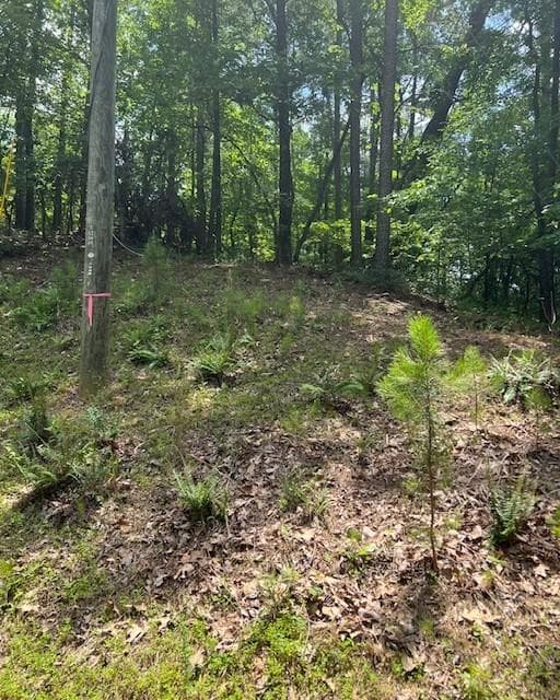 single family residence for sale at 133 Adair Drive, Ranger, GA 30734 — photo 7