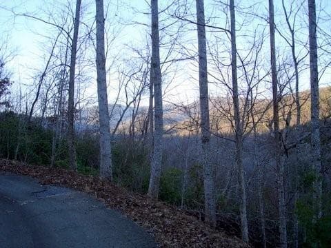 single family residence for sale at 8182 Red Maple Lane, Big Canoe, GA 30143 — photo 2