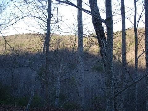 single family residence for sale at 8182 Red Maple Lane, Big Canoe, GA 30143 — photo 3