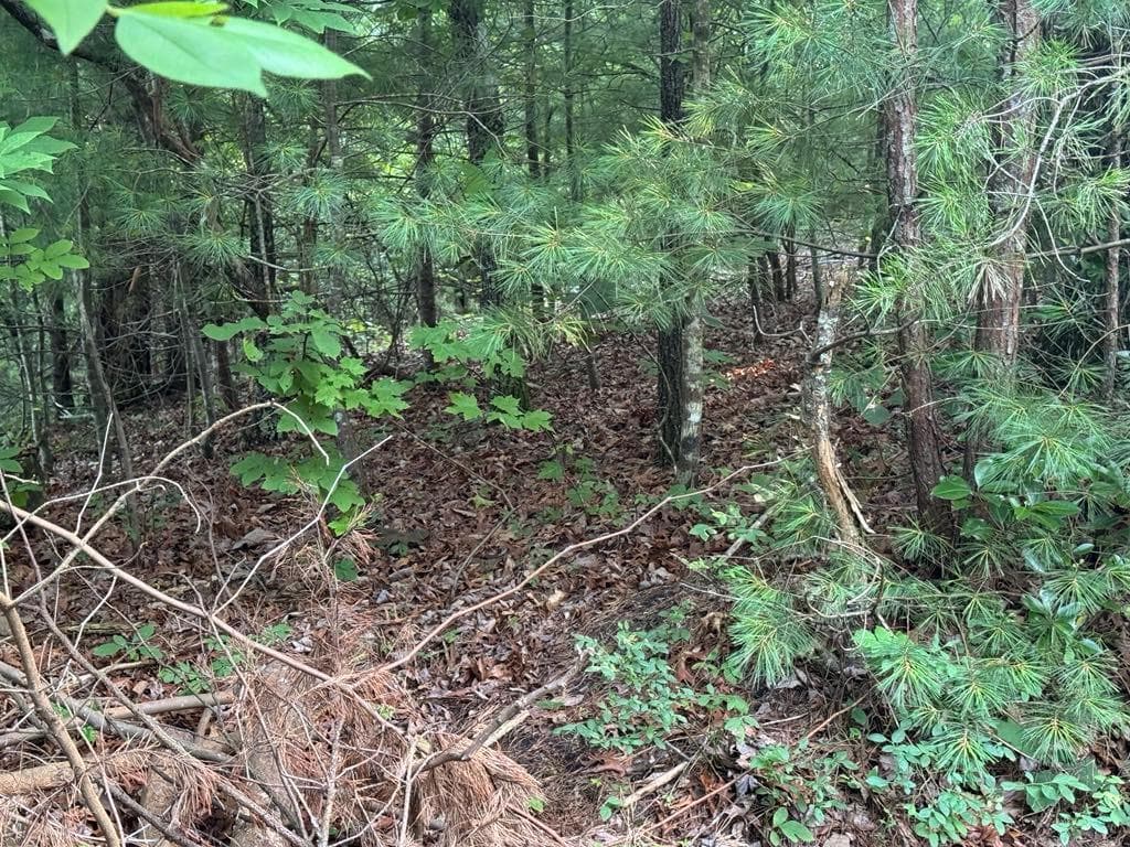 unimproved land for sale at 793 Woodbine Lane, Ranger, GA 30734 — photo 7