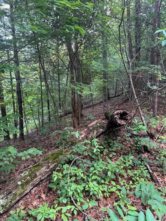 unimproved land for sale at 793 Woodbine Lane, Ranger, GA 30734 — photo 10