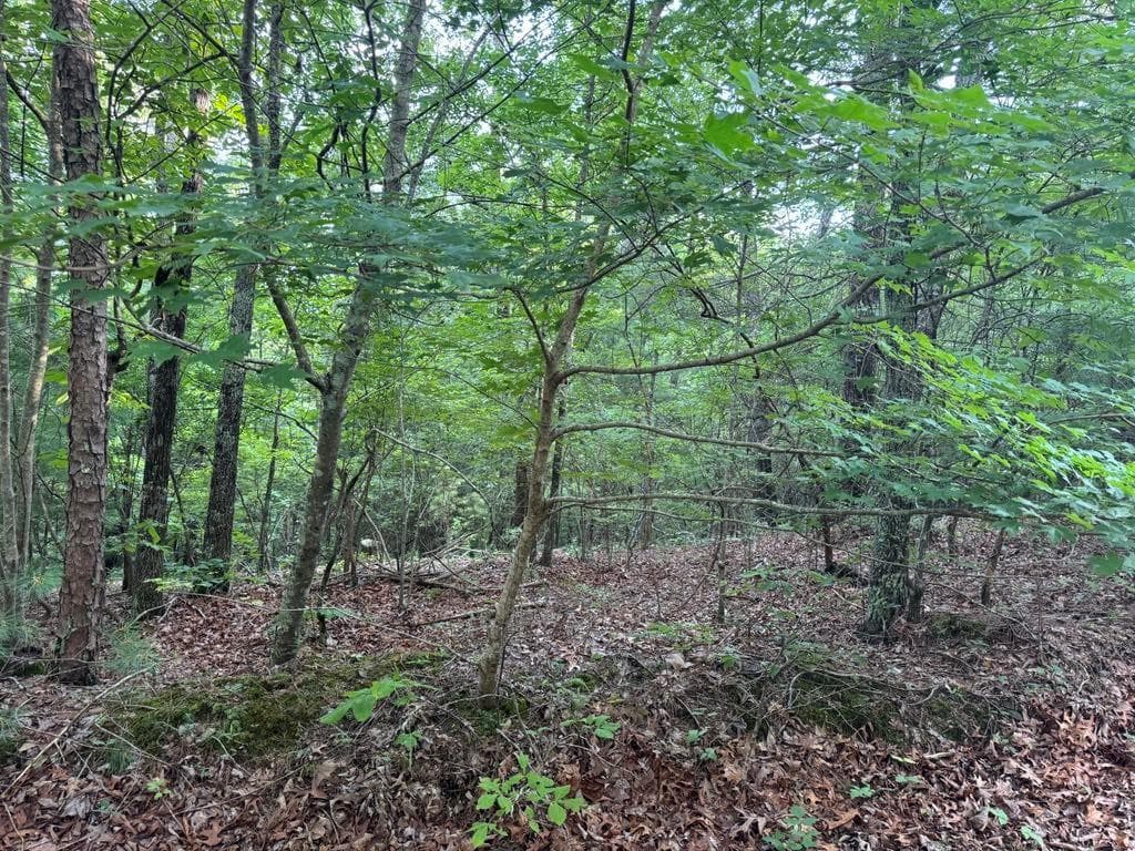 unimproved land for sale at 793 Woodbine Lane, Ranger, GA 30734 — photo 1 of 30
