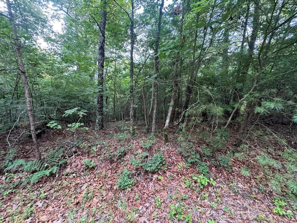 unimproved land for sale at 793 Woodbine Lane, Ranger, GA 30734 — photo 2