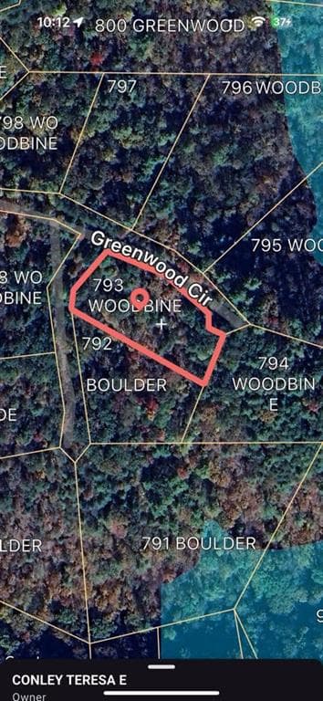 unimproved land for sale at 793 Woodbine Lane, Ranger, GA 30734 — photo 5
