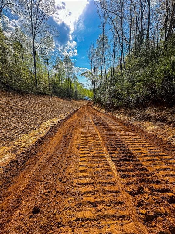 unimproved land for sale at 0 Antioch Valley Road Trct 3, Dawsonville, GA 30534