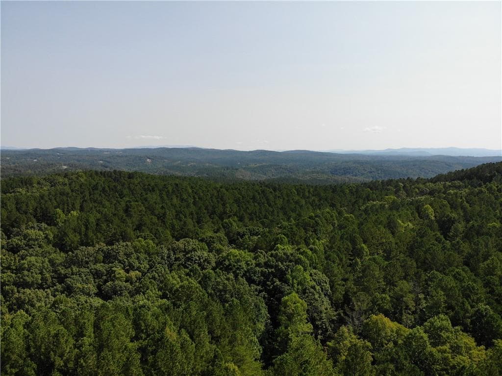 unimproved land for sale at 0 Big Ridge Rd, Talking Rock, GA 30175 — photo 8