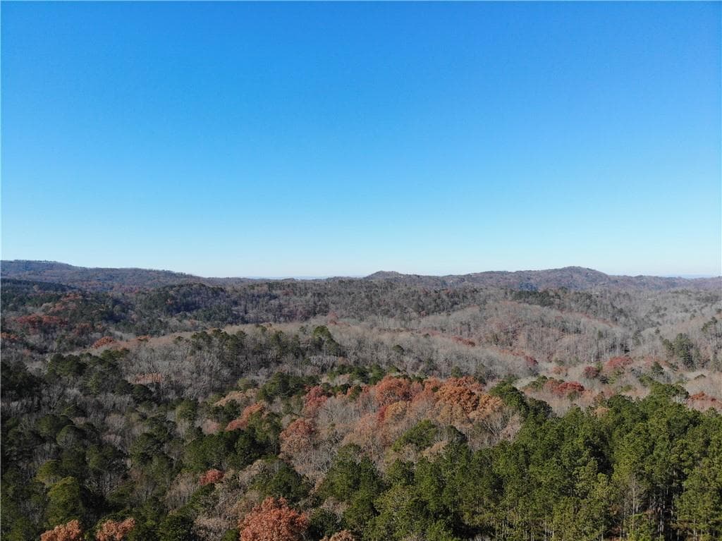 unimproved land for sale at 0 Big Ridge Rd, Talking Rock, GA 30175 — photo 9
