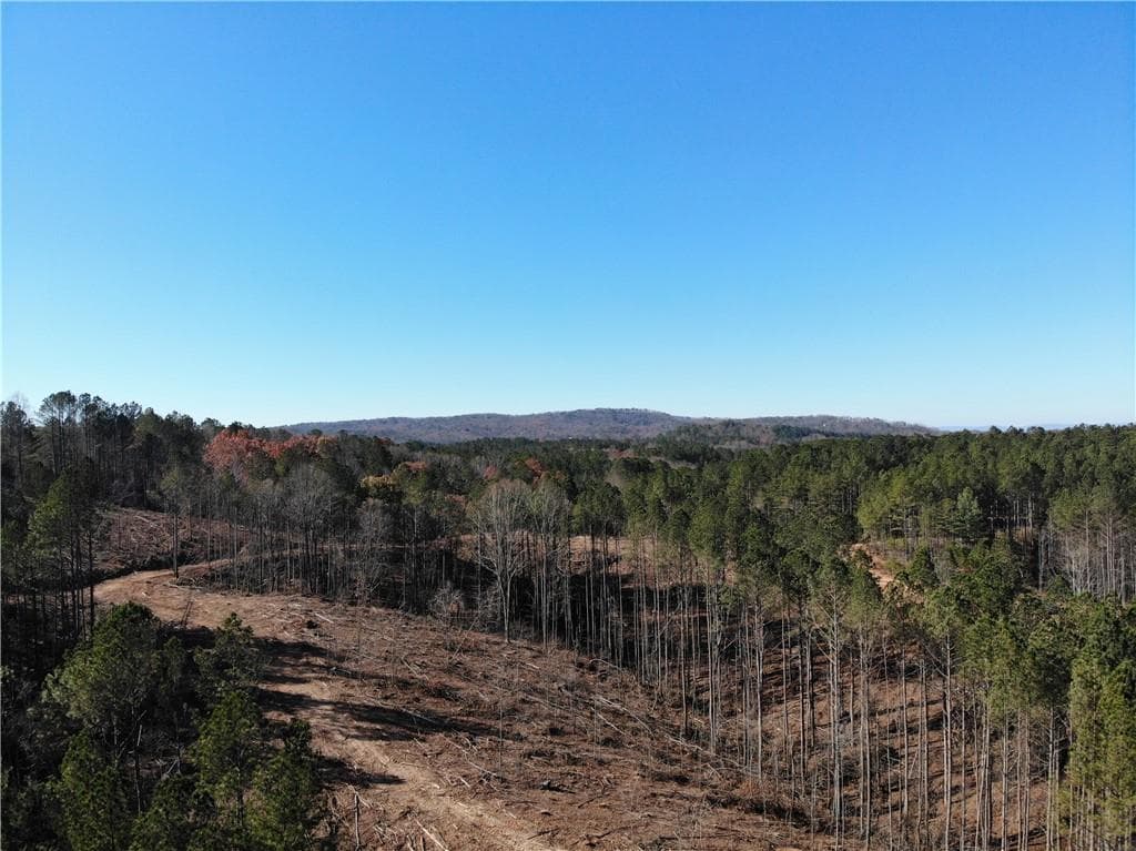 unimproved land for sale at 0 Big Ridge Rd, Talking Rock, GA 30175 — photo 10