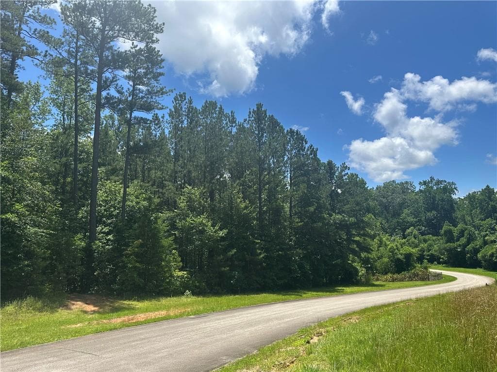 single family residence for sale at 0 Elsberry Mountain Road, Dallas, GA 30132 — photo 2