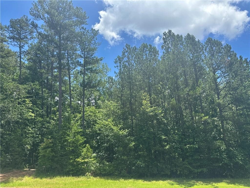 single family residence for sale at 0 Elsberry Mountain Road, Dallas, GA 30132 — photo 3