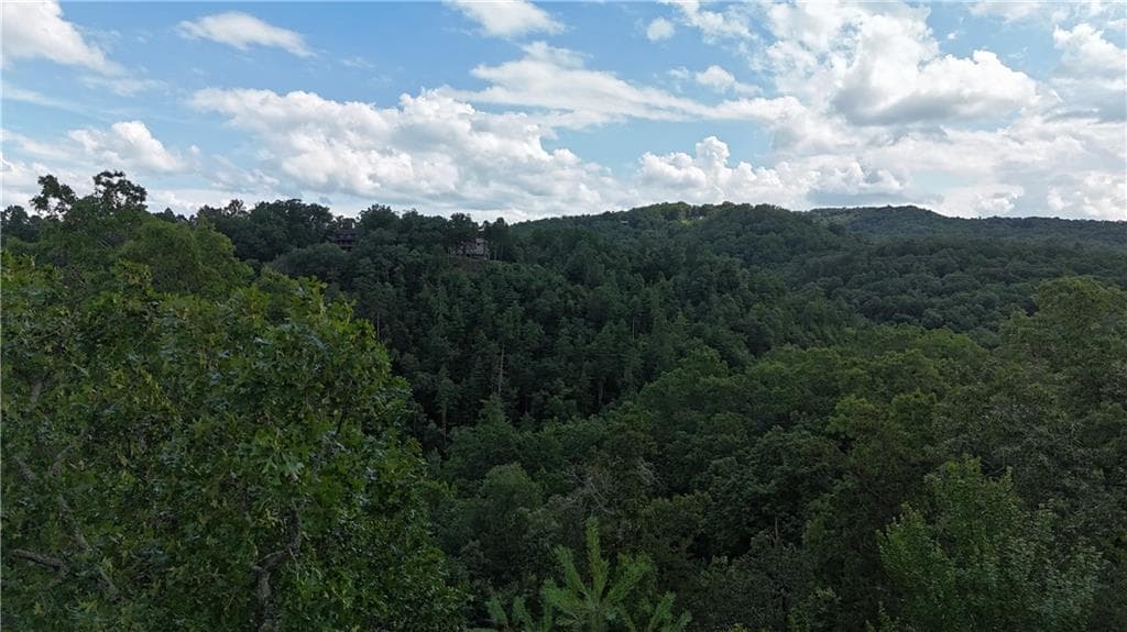 unimproved land for sale at 793 Woodbine Lane, Ranger, GA 30734 — photo 3