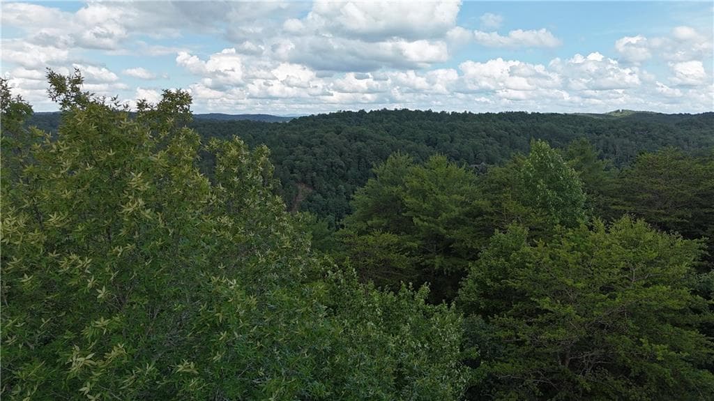 unimproved land for sale at 793 Woodbine Lane, Ranger, GA 30734 — photo 4