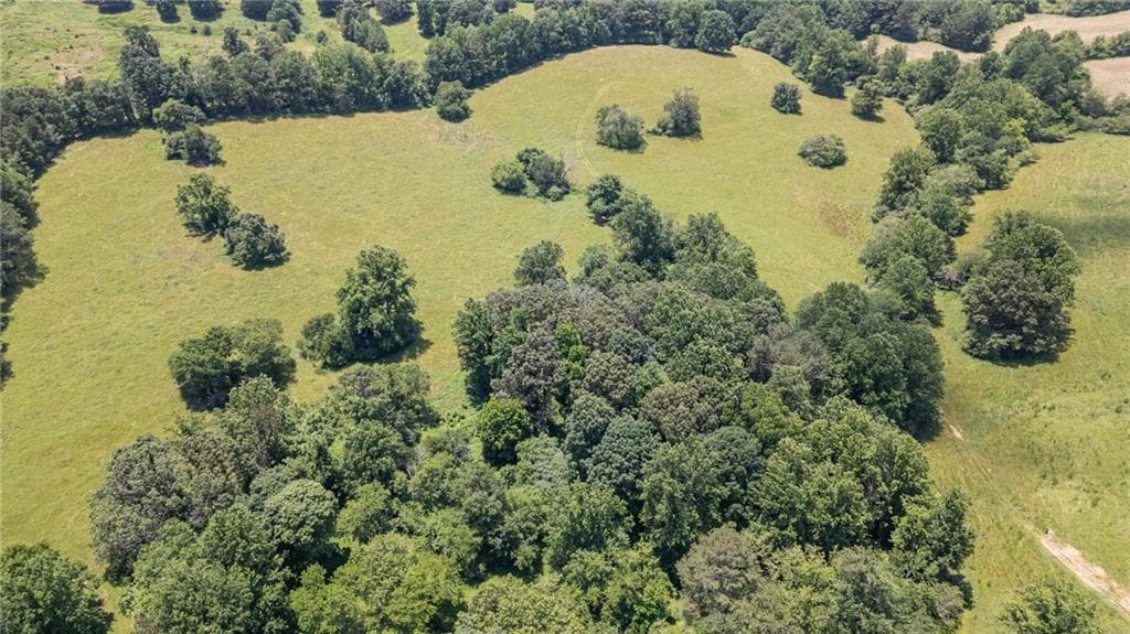 unimproved land for sale at 0 Hill City Road, Jasper, GA 30143 — photo 5