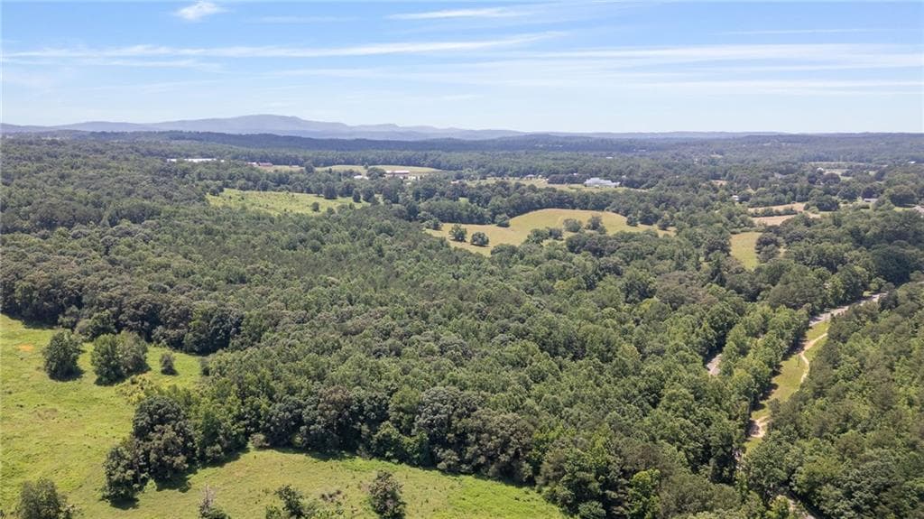 unimproved land for sale at 0 Hill City Road, Jasper, GA 30143 — photo 6