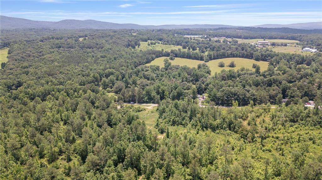 unimproved land for sale at 0 Hill City Road, Jasper, GA 30143 — photo 7