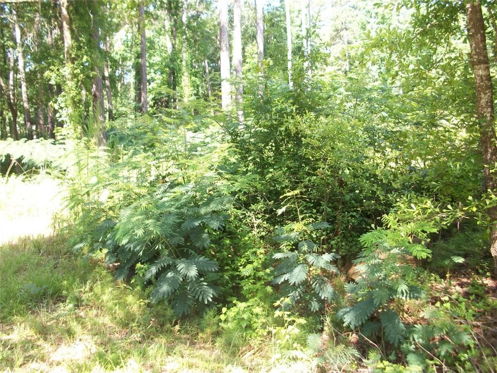 unimproved land for sale at 43 Shady Lane, Jackson, GA 30233 — photo 2