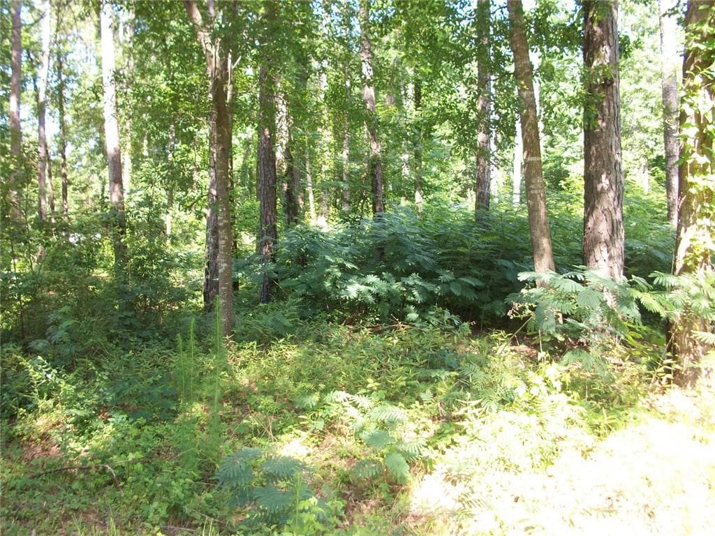 unimproved land for sale at 43 Shady Lane, Jackson, GA 30233 — photo 3