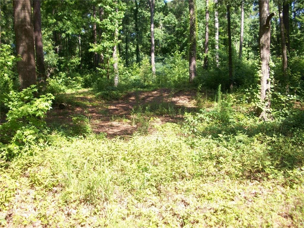 unimproved land for sale at 43 Shady Lane, Jackson, GA 30233 — photo 4