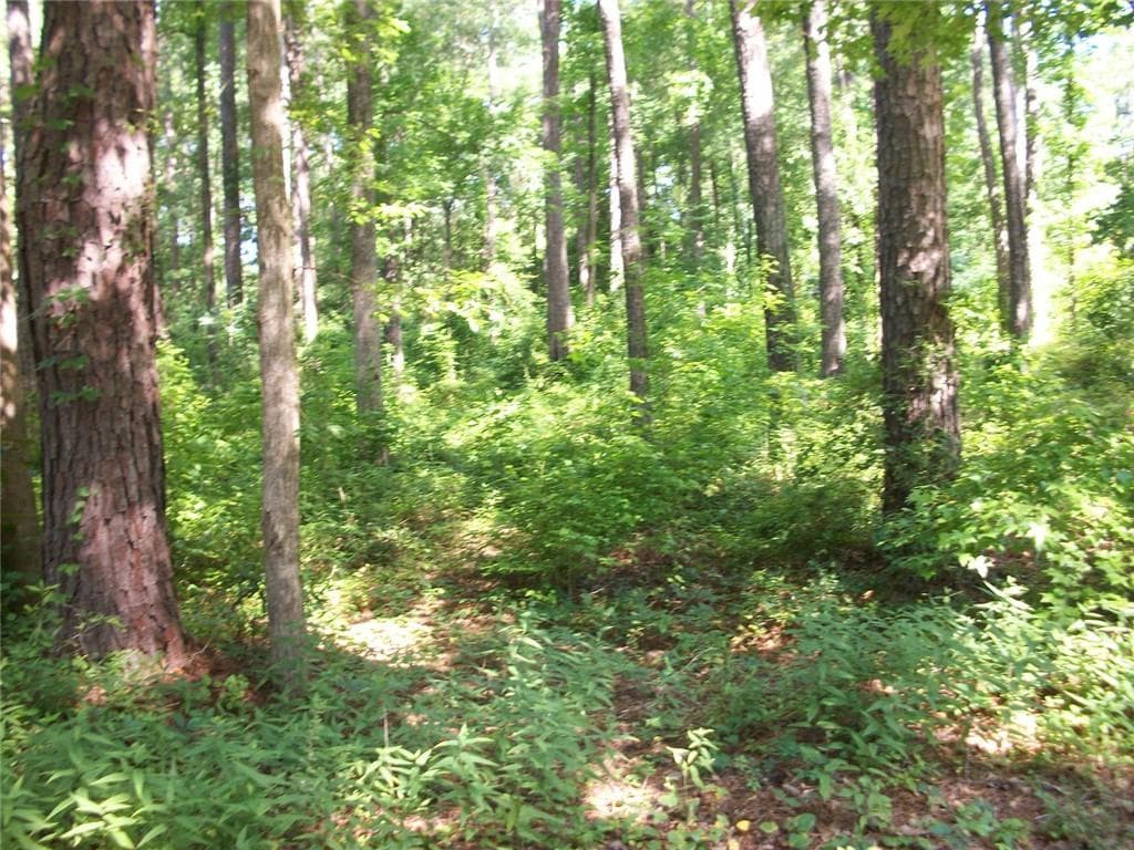 unimproved land for sale at 43 Shady Lane, Jackson, GA 30233 — photo 5