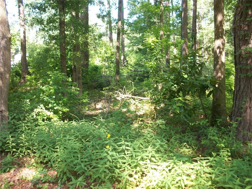 unimproved land for sale at 43 Shady Lane, Jackson, GA 30233 — photo 6