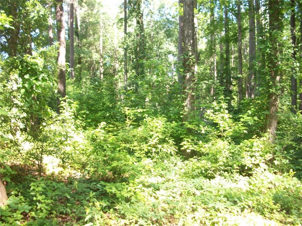 unimproved land for sale at 43 Shady Lane, Jackson, GA 30233 — photo 7