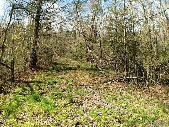 unimproved land for sale at 0 Doublehead Gap Road, Blue Ridge, GA 30513 — photo 1 of 1