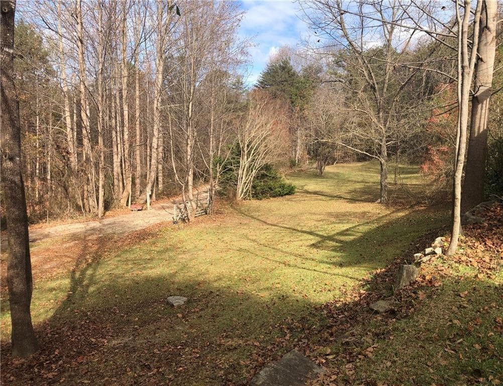 3 bedroom unimproved land for sale at 209 Alice Moss Lane, Alto, GA 30510 — photo 5