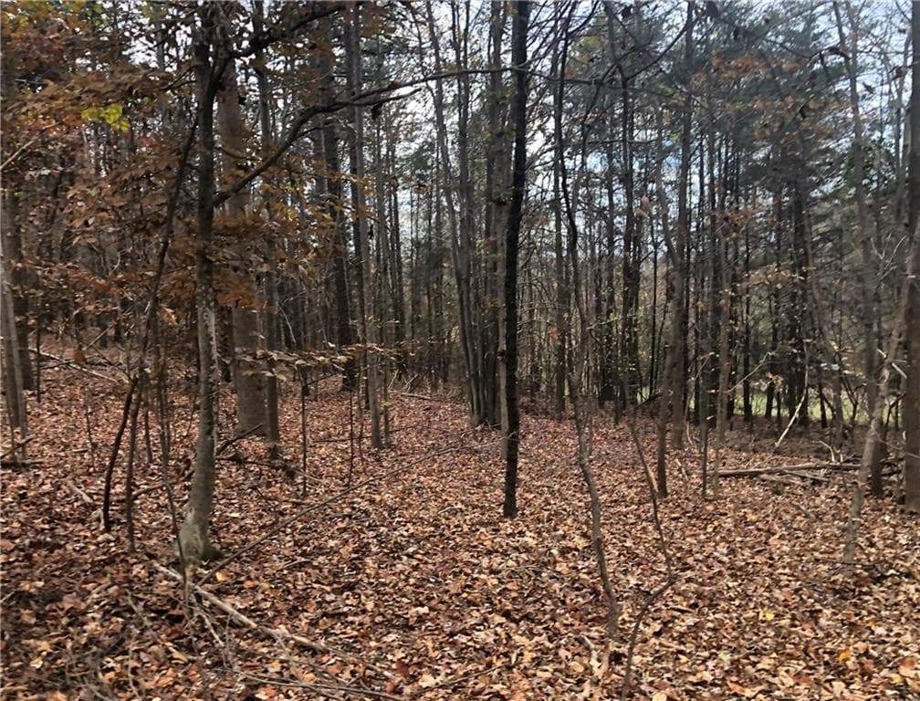 3 bedroom unimproved land for sale at 209 Alice Moss Lane, Alto, GA 30510 — photo 6