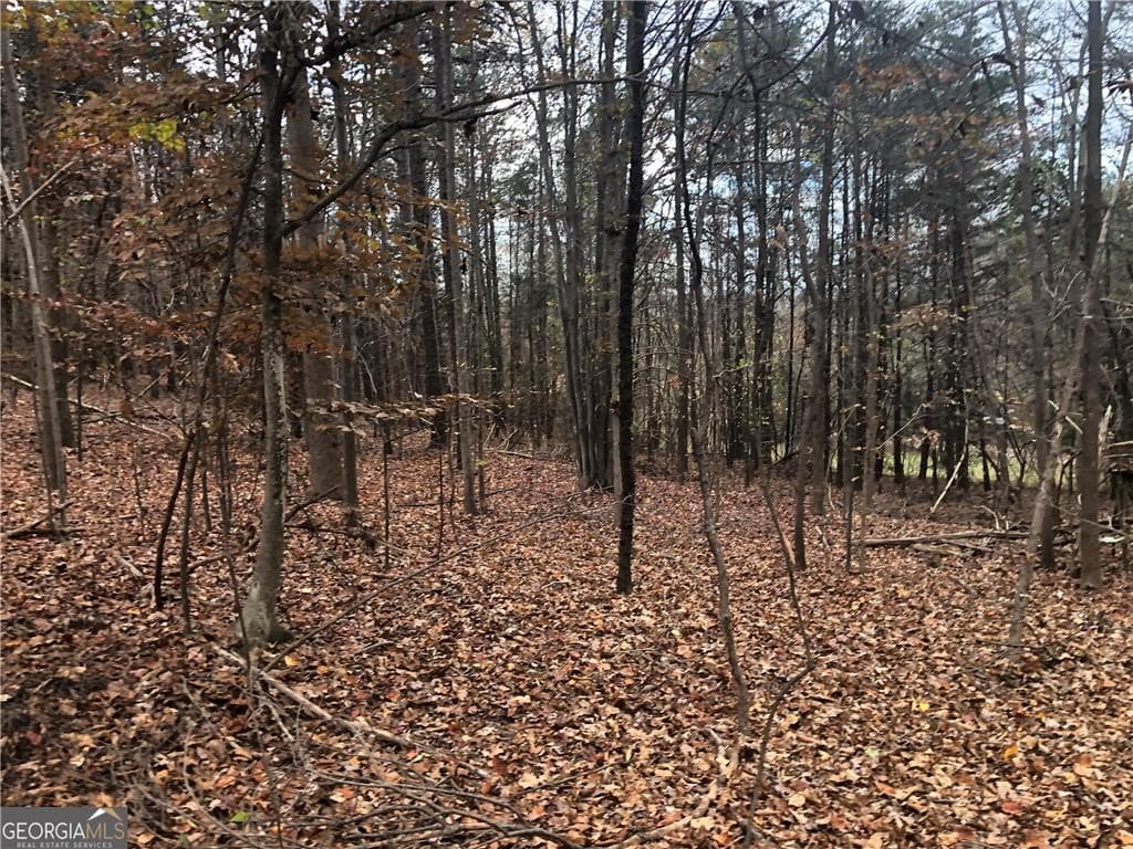 3 bedroom unimproved land for sale at 209 Alice Moss Lane, Alto, GA 30510 — photo 8