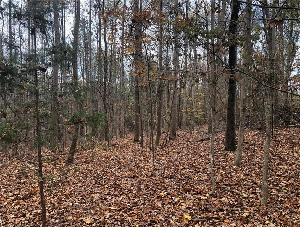 3 bedroom unimproved land for sale at 209 Alice Moss Lane, Alto, GA 30510 — photo 9